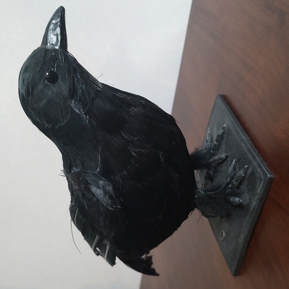 Black Raven Crow Sculpture Real Feathers Bird Halloween Decor Movie Set Prop - Picture 12 of 14